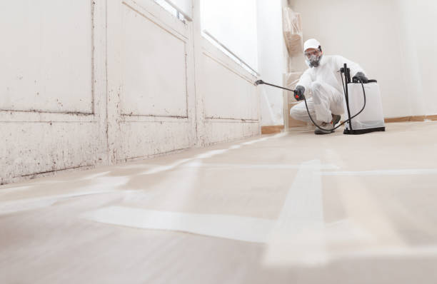24/7 Emergency Attic Mold Removal experts in Highland Park, NJ